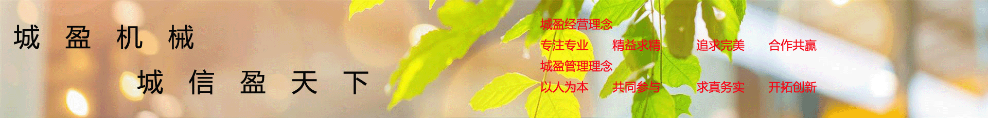 城盈機(jī)械企業(yè)文化