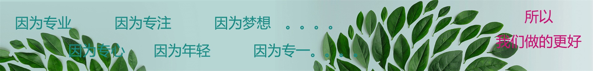 試試看